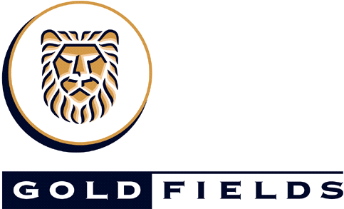 Goldfields is one of the biggest companies in South Africa according to market capitalization.