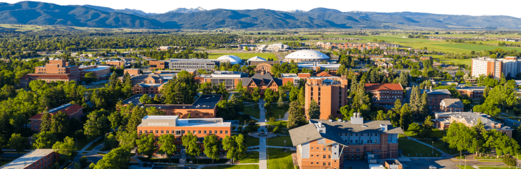 Montana State University - US