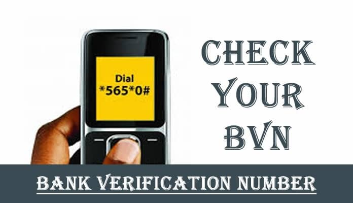 How to Check BVN Details using USSD