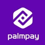 palm pay ussd code