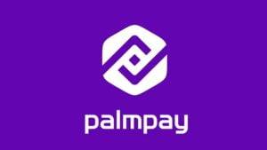 Palm Pay USSD Code For Transfer And Other Transactions