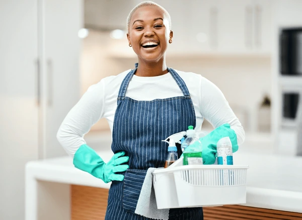 Cleaner or Housekeeper