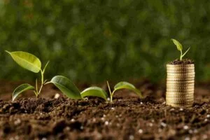Smart Ways To Invest Your Money in Nigeria: Real Estate, Agriculture, Stock Market & More