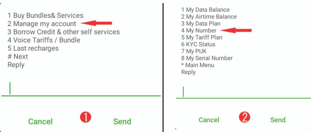 How to Check my Airtel Number Through SMS